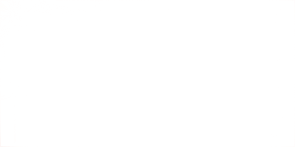 Logo with words Charity Navigator, Four Star Charity in white.